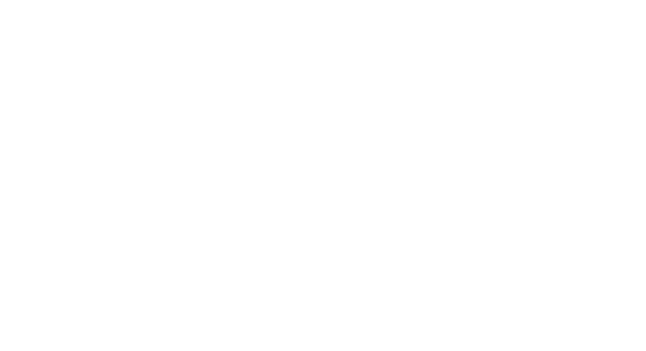 award 2013 ISFFH